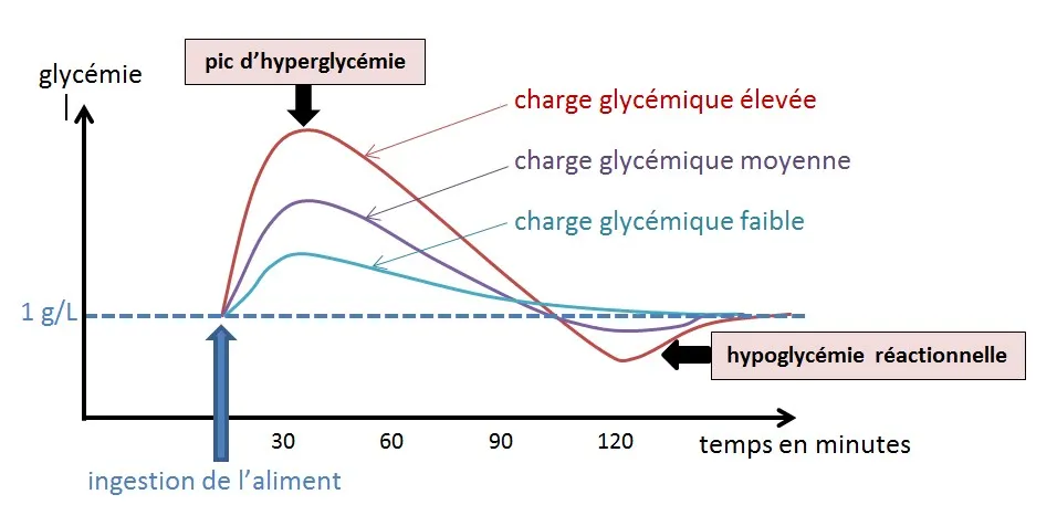 Courbe-index glycémique