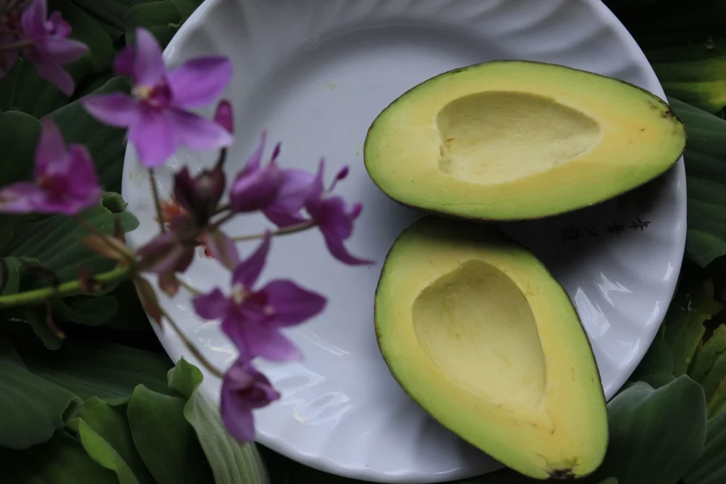 Avocat, aliment anti-fatigue