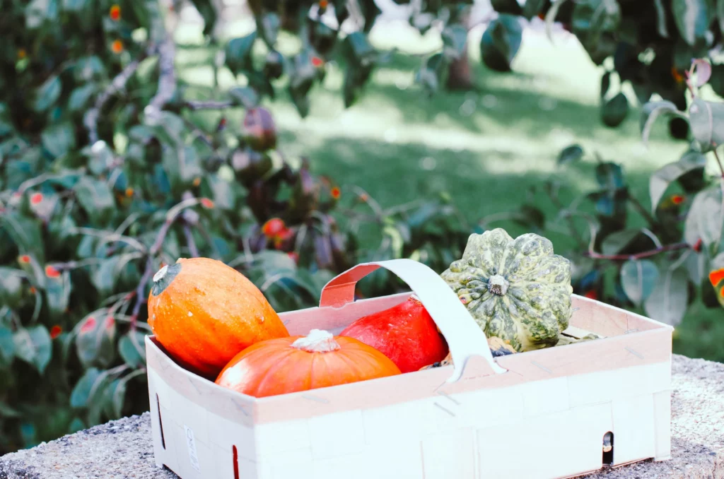 Régime de saison avec aliments saisonniers pour lutter contre la fatigue et accompagner le corps dans ces transitions 